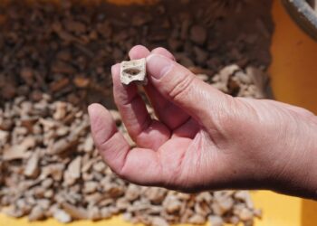 Nueva campaña de excavaciones arqueológicas en San Marcial del Rubicón