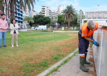 La alcaldesa, Carolina Darias, y el concejal de Limpieza, Héctor Alemán, junto a un trabajador retirando pintadas