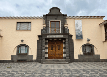 Museo Néstor