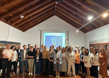 El Área de Salud de La Palma celebra la reunión del Consejo de Salud