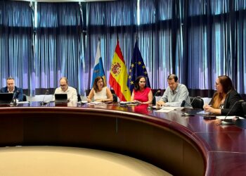 Canarias aprueba un nuevo plan de apoyo al emprendimiento, al trabajo autónomo y a las pymes