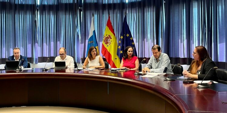 Canarias aprueba un nuevo plan de apoyo al emprendimiento, al trabajo autónomo y a las pymes