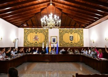 Pleno Ord. El Rosario (1)