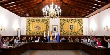 Pleno Ord. El Rosario (1)
