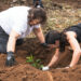 Turismo de Canarias sigue recuperando los espacios naturales con su segunda jornada de reforestación