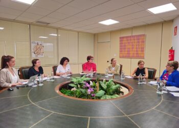 Bienestar Social y la Federación de Salud Mental Canarias estudian establecer una línea específica de subvenciones