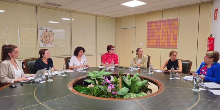 Bienestar Social y la Federación de Salud Mental Canarias estudian establecer una línea específica de subvenciones