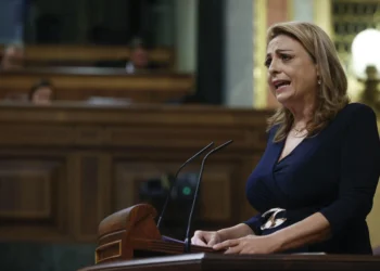 CC pide al Estado que bonifique el impuesto de la basura en Canarias porque su condición de región ultraperiférica