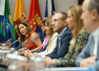 Los cabildos llevan al Parlamento de Canarias su propuesta para blindar sus competencias