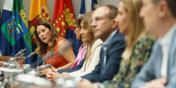 Los cabildos llevan al Parlamento de Canarias su propuesta para blindar sus competencias