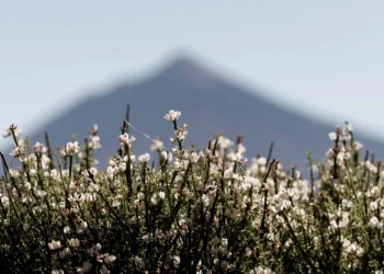 Subir al pico del Teide será gratis para los tinerfeños y costará de 10 a 25 euros para los no residentes en Canarias