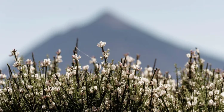 Subir al pico del Teide será gratis para los tinerfeños y costará de 10 a 25 euros para los no residentes en Canarias