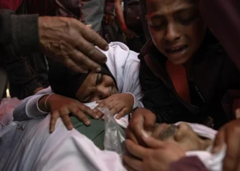 El STEC llama a la huelga en la educación de Canarias el 15 de octubre para exigir el fin del «genocidio» en Gaza