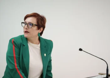 El Gobierno canario defiende que 15 días es plazo suficiente para trasladar a los menores migrantes