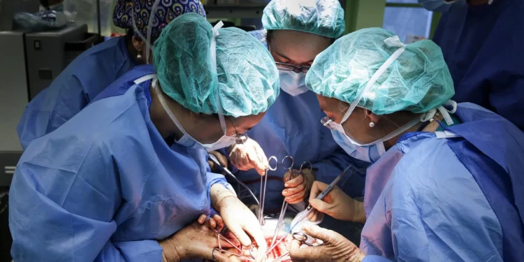 Canarias se convierte en la segunda comunidad con mayor privatización sanitaria, tras Madrid