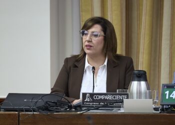Rodríguez presenta ante el Congreso de los Diputados el trabajo del Gobierno de Canarias con la infancia