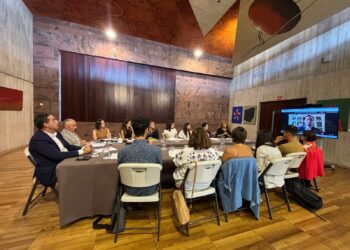 El Gobierno de Canarias impulsa un taller para preparar la Cumbre Mundial de Desarrollo Social