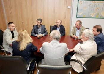 El director del SCS analiza los planes de contingencia con los gerentes hospitalarios de Gran Canaria y Tenerife