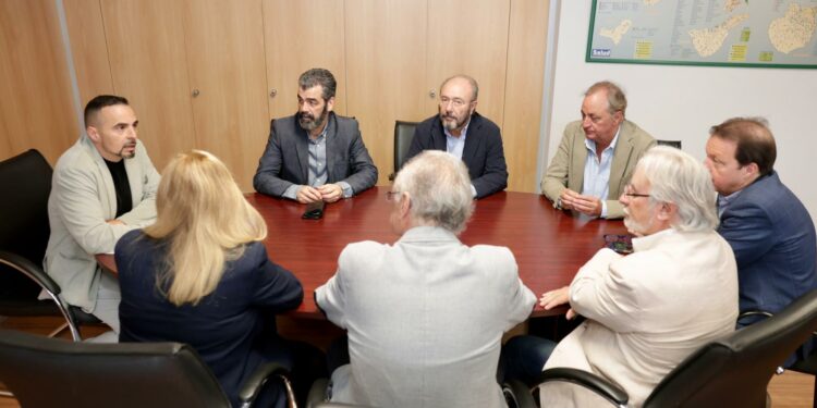 El director del SCS analiza los planes de contingencia con los gerentes hospitalarios de Gran Canaria y Tenerife