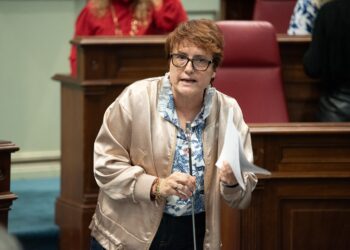 Delgado reivindica en el Parlamento de Canarias una mayor financiación estatal en la lucha contra la pobreza