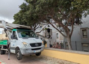 Parques y Jardines realiza una actuación integral en Barrio Atlántico