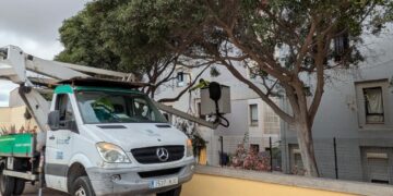 Parques y Jardines realiza una actuación integral en Barrio Atlántico