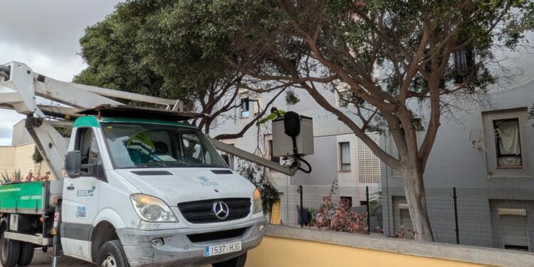 Parques y Jardines realiza una actuación integral en Barrio Atlántico