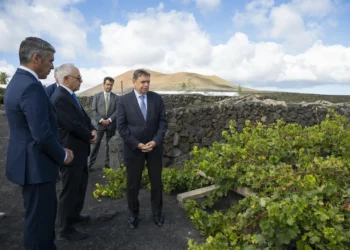 Planas: Que la ONU reconozca la técnica de cultivo de Lanzarote tiene un valor singular