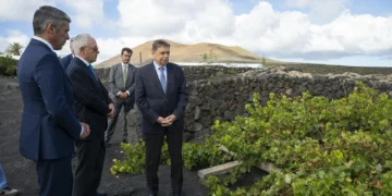 Planas: Que la ONU reconozca la técnica de cultivo de Lanzarote tiene un valor singular