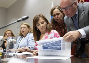 Presidencia apuesta por el despliegue territorial de la Policía Canaria en un presupuesto que la oposición ve «inmovilista»