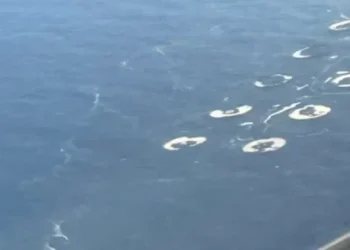 Vertidos-Gran-Canaria-