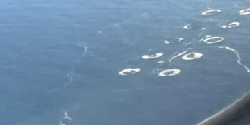 Vertidos-Gran-Canaria-