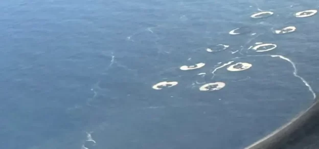 Vertidos-Gran-Canaria-