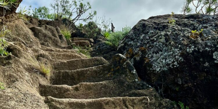 251111 Senda de Magec BIC 2