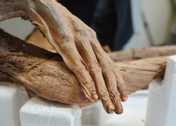 El Gobierno pone en marcha el programa “Legado canario disperso”