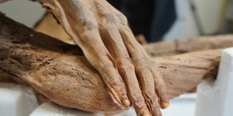 El Gobierno pone en marcha el programa “Legado canario disperso”