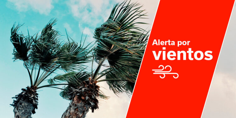 El Gobierno declara la situación de alerta por viento en toda Canarias