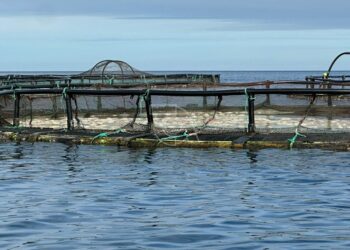 AQUANARIA OPERA CON NORMALIDAD Y COLABORA CON LAS AUTORIDADES EN EL ESCLARECIMIENTO DEL EPISODIO DEL VERTIDO TÓXICO AJENO A SU ACTIVIDAD