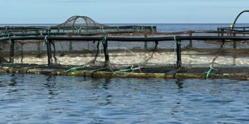 AQUANARIA OPERA CON NORMALIDAD Y COLABORA CON LAS AUTORIDADES EN EL ESCLARECIMIENTO DEL EPISODIO DEL VERTIDO TÓXICO AJENO A SU ACTIVIDAD