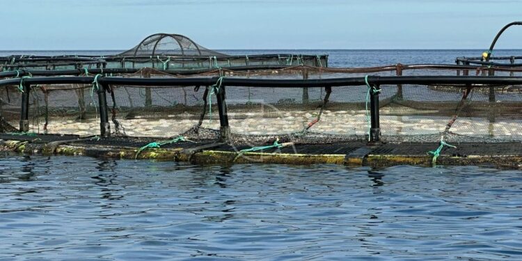 AQUANARIA OPERA CON NORMALIDAD Y COLABORA CON LAS AUTORIDADES EN EL ESCLARECIMIENTO DEL EPISODIO DEL VERTIDO TÓXICO AJENO A SU ACTIVIDAD