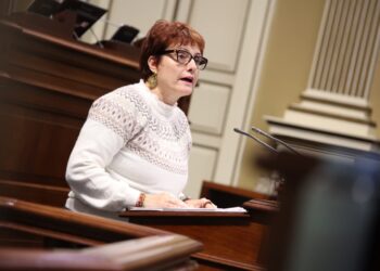 Canarias reclama una respuesta de Estado y europea ante la presión migratoria y refuerza sus recursos para menores