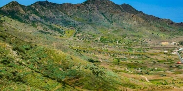 Cartel Feria por la Recuperación del Medio Rural y la Prevención de Incendios