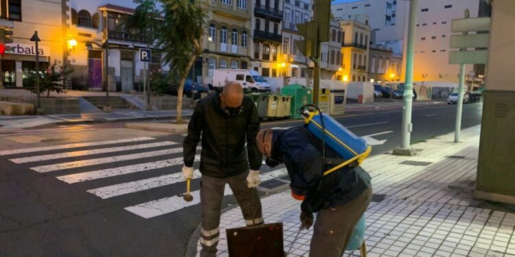 Imagen de archivo de una actuación de control de plagas