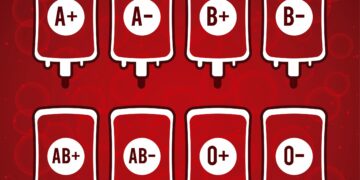 Los grupos sanguíneos en Canarias: una clave vital que viaja por nuestras venas