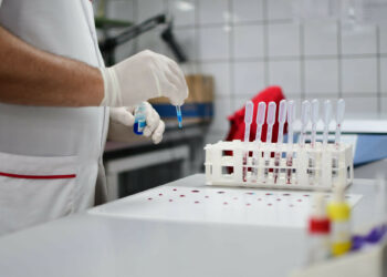 La seguridad de la sangre: un recorrido invisible que salva vidas