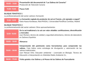 El Gobierno canario promueve la defensa del patrimonio salinero con una jornada profesional en Fuencaliente