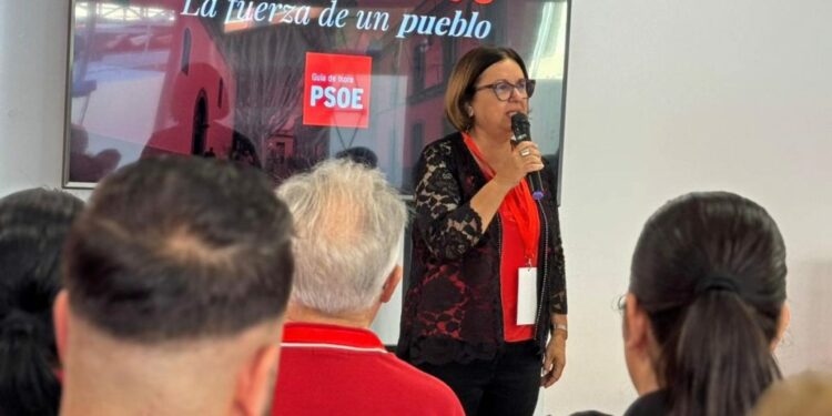 PSOE Guía