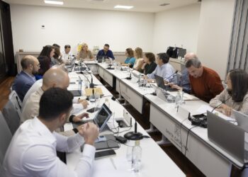 Canarias acoge una reunión de la Comisión de Salud Digital para avanzar en la interoperabilidad del SNS