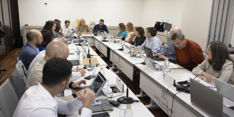 Canarias acoge una reunión de la Comisión de Salud Digital para avanzar en la interoperabilidad del SNS