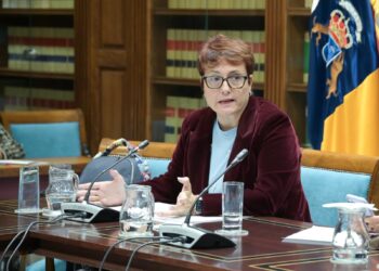 La Ley de Dependencia contempla la asistencia personal y los canarios seguirán recibiendo la prestación